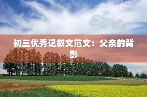 初三优秀记叙文范文：父亲的背影