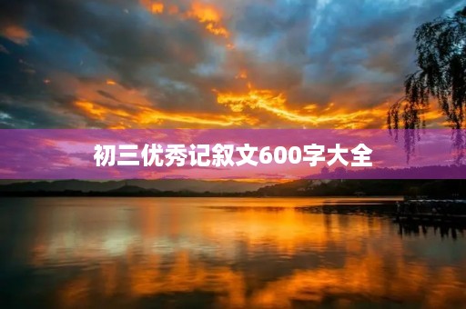 初三优秀记叙文600字大全