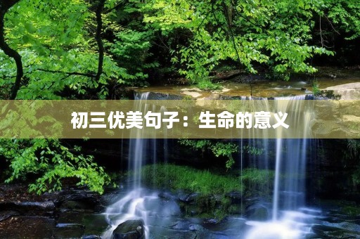 初三优美句子：生命的意义