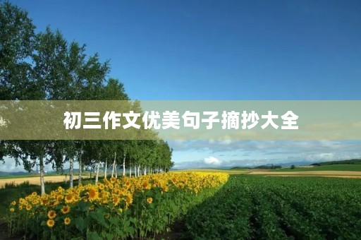 初三作文优美句子摘抄大全