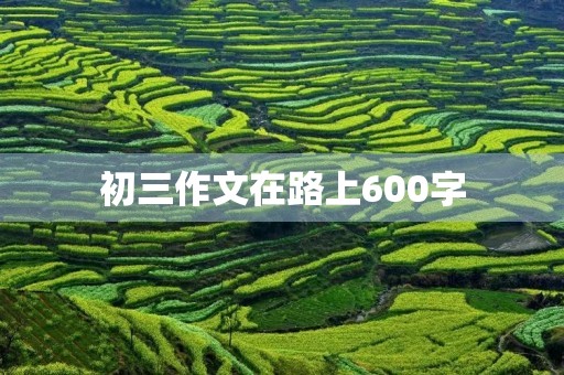 初三作文在路上600字 初三作文在路上600字