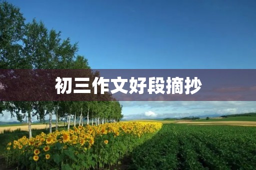 初三作文好段摘抄 初三作文好段摘抄