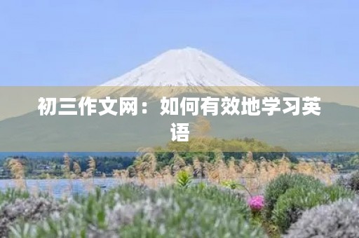 初三作文网：如何有效地学习英语