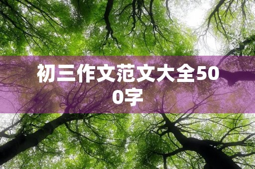 初三作文范文大全500字