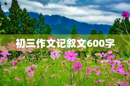 初三作文记叙文600字 初三作文记叙文600字