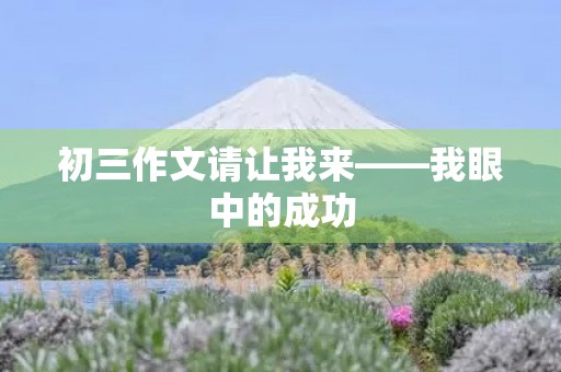 初三作文请让我来——我眼中的成功