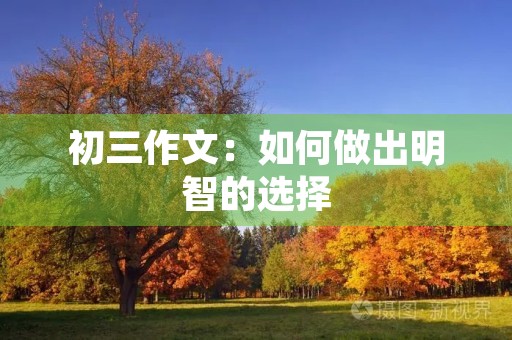 初三作文:如何做出明智的选择 初三作文:如何做出明智的选择