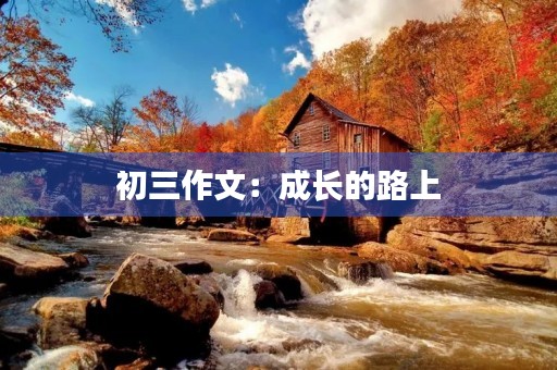 初三作文:成长的路上 初三作文:成长的路上