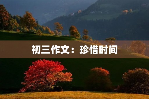 初三作文:珍惜时间,迎接未来 初三作文:珍惜时间,迎接未来