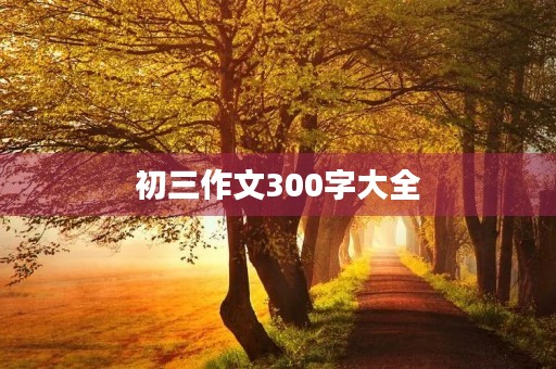 初三作文300字大全