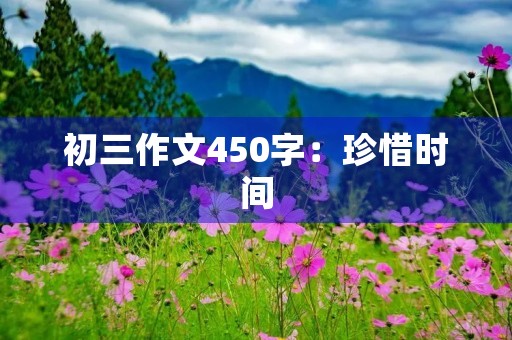 初三作文450字:珍惜时间,努力拼搏 初三作文450字:珍惜时间,努力拼搏