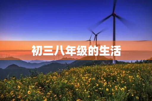 初三八年级的生活