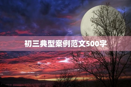 初三典型案例范文500字 初三典型案例范文500字