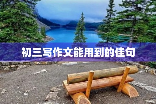 初三写作文能用到的佳句