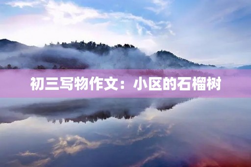 初三写物作文：小区的石榴树