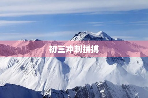 初三冲刺拼搏,拥抱未来 初三冲刺拼搏,拥抱未来