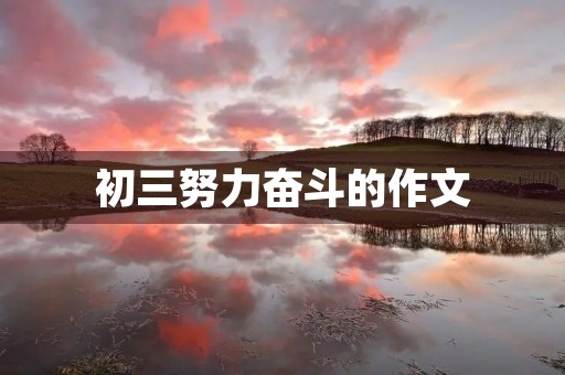 初三努力奋斗的作文 初三努力奋斗的作文