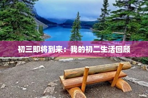 初三即将到来：我的初二生活回顾
