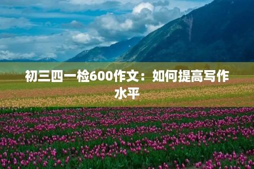 初三四一检600作文:如何提高写作水平 初三四一检600作文:如何提高写作水平