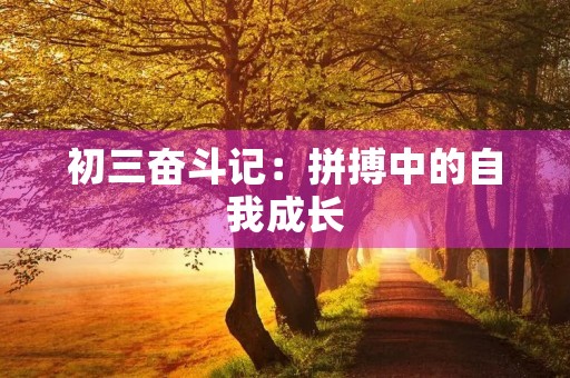 初三奋斗记：拼搏中的自我成长