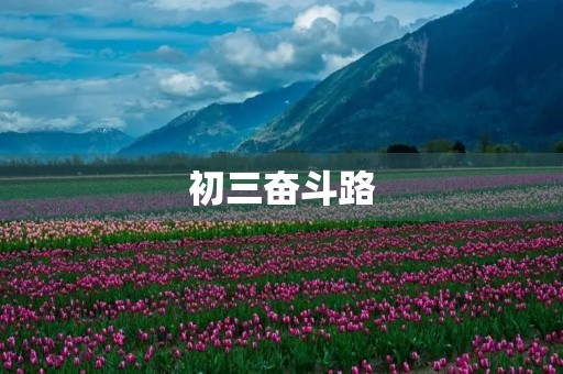 初三奋斗路 初三奋斗路