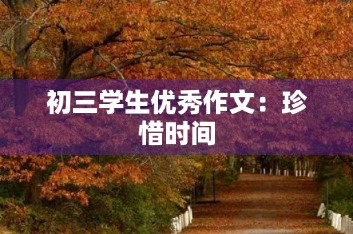 初三学生优秀作文：珍惜时间，做最好的自己