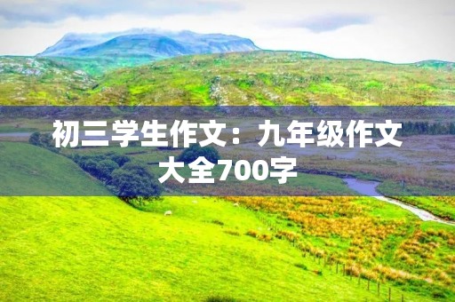 初三学生作文：九年级作文大全700字