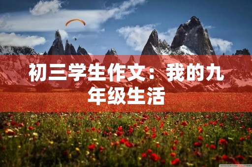 初三学生作文：我的九年级生活