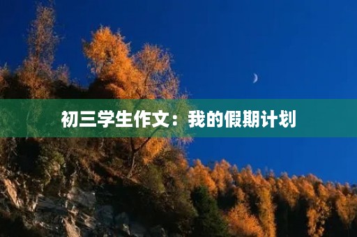 初三学生作文：我的假期计划