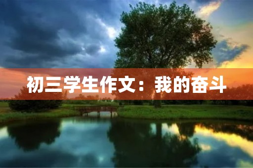 初三学生作文:我的奋斗 初三学生作文:我的奋斗
