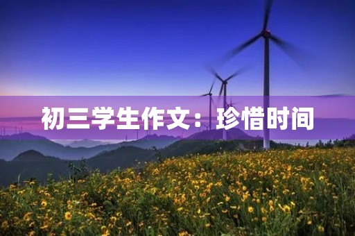 初三学生作文：珍惜时间