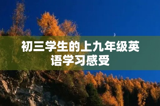 初三学生的上九年级英语学习感受