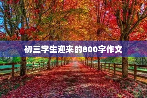 初三学生迎来的800字作文 初三学生迎来的800字作文