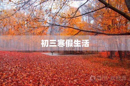 初三寒假生活 初三寒假生活