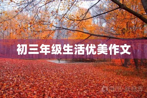 初三年级生活优美作文