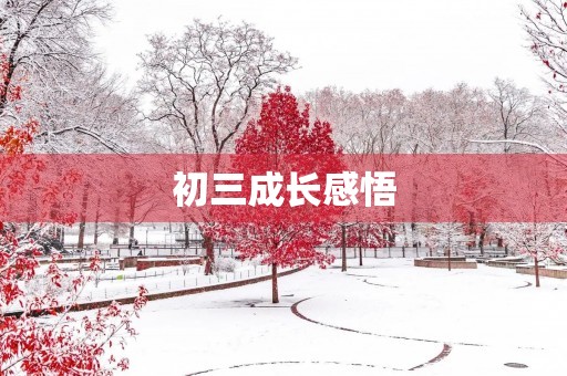 初三成长感悟