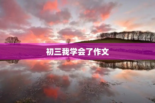 初三我学会了作文 初三我学会了作文