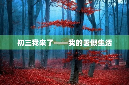 初三我来了——我的暑假生活