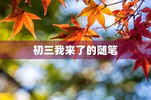 初三我来了的随笔