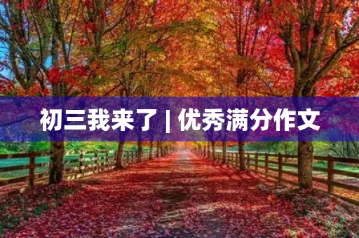 初三我来了 | 优秀满分作文