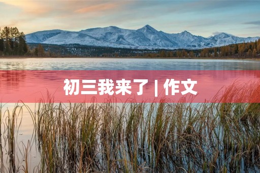 初三我来了 | 作文