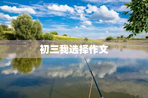 初三我选择作文