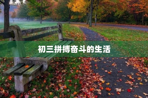 初三拼搏奋斗的生活