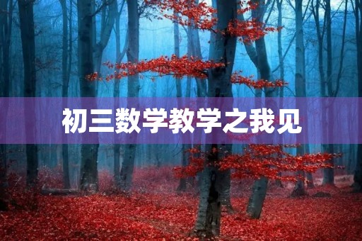 初三数学教学之我见