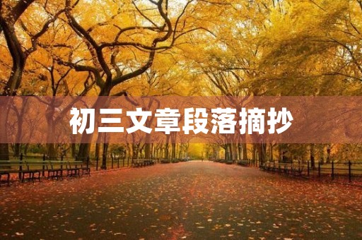 初三文章段落摘抄