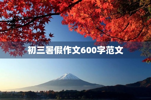 初三暑假作文600字范文