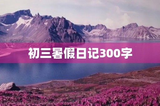 初三暑假日记300字
