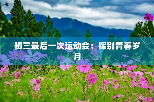 初三最后一次运动会：挥别青春岁月