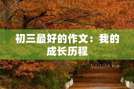 初三最好的作文：我的成长历程