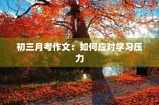 初三月考作文：如何应对学习压力
